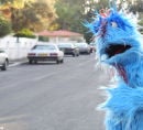 Blue furry monster