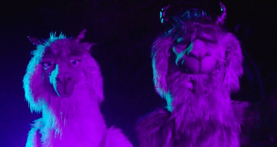 Two llama puppets in purple lighting