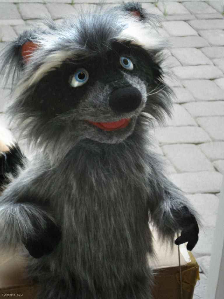 Raccoon puppet